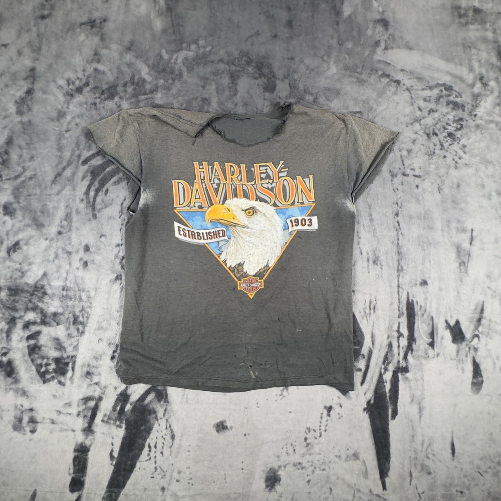 Harley Davidson T-Shirt Mens XL Gray 1993 Daytona Bike Week Eagle Distressed